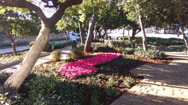 Hortikulturno uređenje parka Bad Homburg