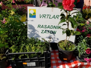Prodaja sadnica povrća, agruma i cvijeća